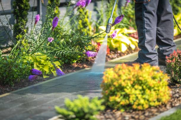 Best Pre-Holiday Cleaning  in Winfield, IL