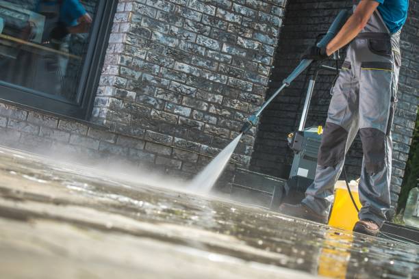 Best Driveway Pressure Washing  in Winfield, IL